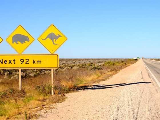 Driving the Nullarbor Plain - Australias most iconic road trip