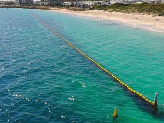 Shark nets on the beaches and rivers of Perth and WA’s southwest