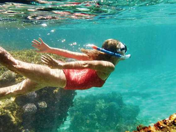 Beautiful snorkelling spots along Rottnest Island's coastline