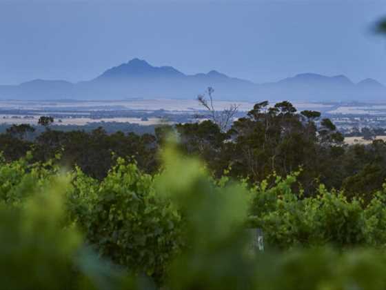 Great Southern wine region 2024 vintage report