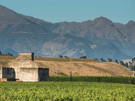 New Zealand winery among the best 50 in the world