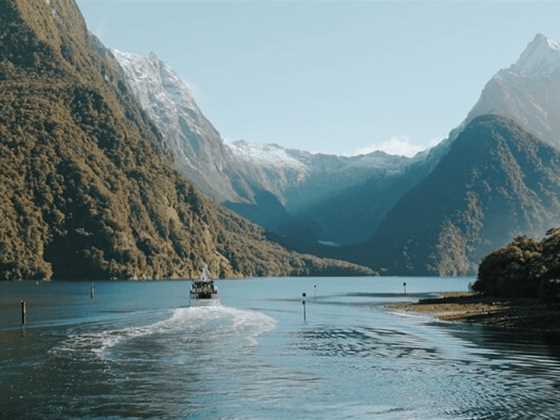 TripAdvisor’s top New Zealand experiences for 2024