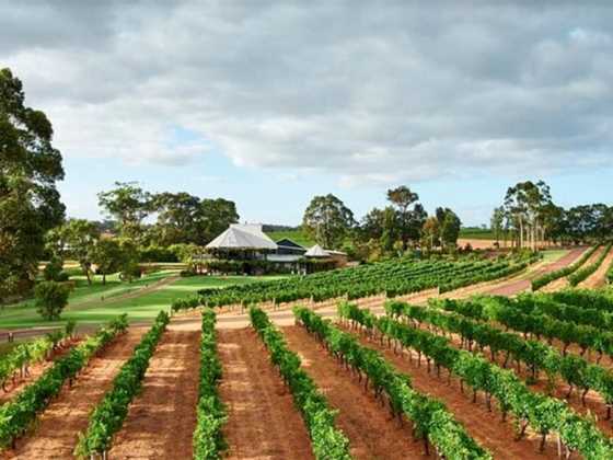 Best wineries for lunch in the Margaret River region