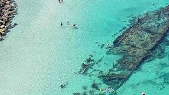 Four awesome shipwrecks on Perth beaches for snorkelling this weekend