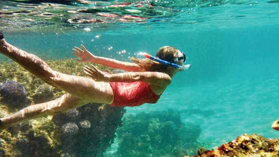 Beautiful snorkelling spots along Rottnest Island's coastline