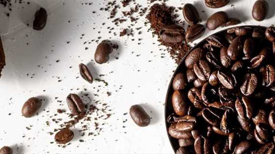 Six amazing coffee roasters hand-roasting coffee right here in WA