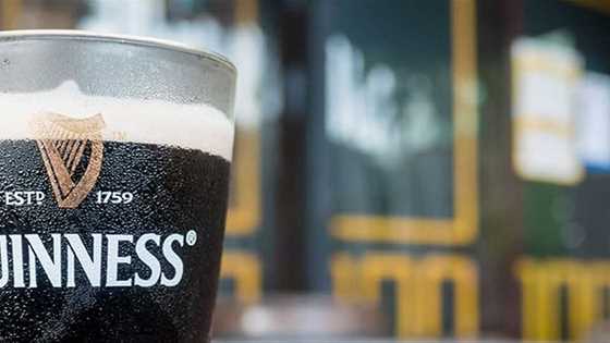 glass of Guinness