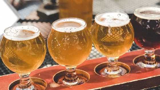 Craft breweries to check out this summer in Perth