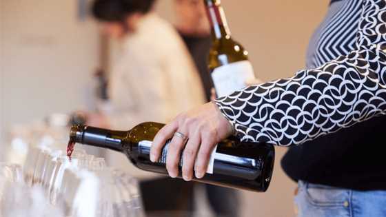 Australia’s best Chardonnays and Cabernets selected at James Halliday annual awards for 2024