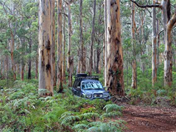 4WD top tips