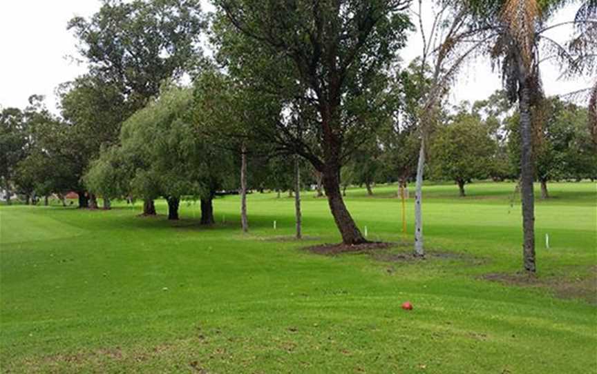 Bayswater Public Golf Course, Local Facilities in Embleton