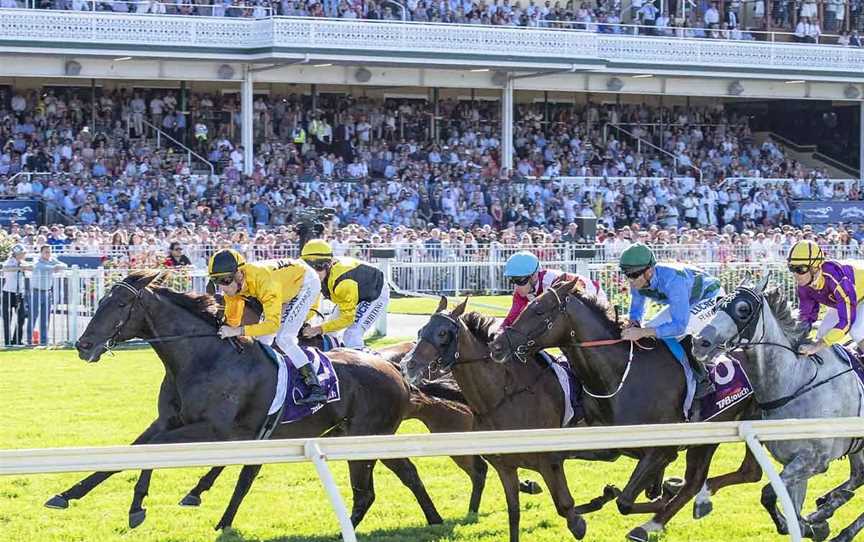 Ascot Racecourse, Local Facilities in Ascot