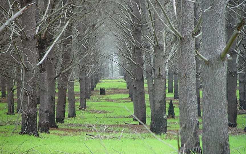 Pinjar Pine Plantation, Local Facilities in Nowergup