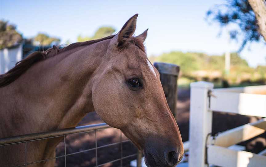 Harmony Acres Farm Stay, Accommodation in Mariginiup