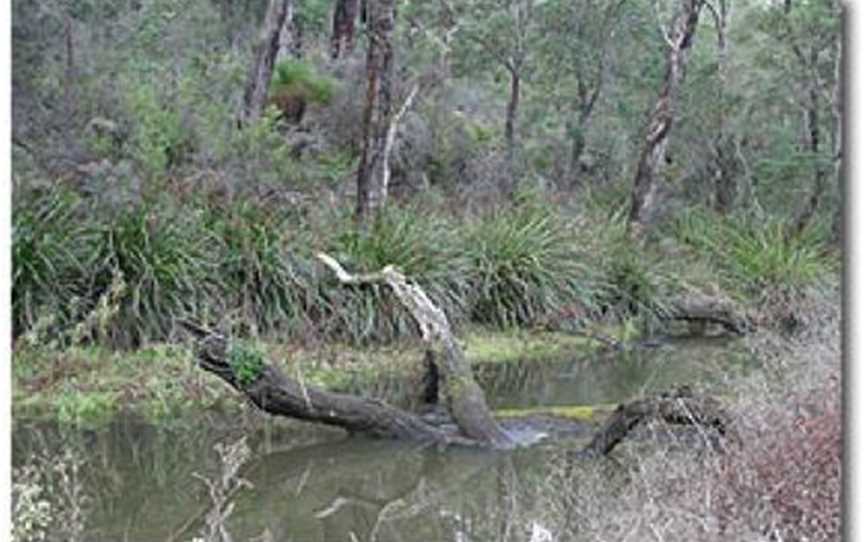 Wilgarup River