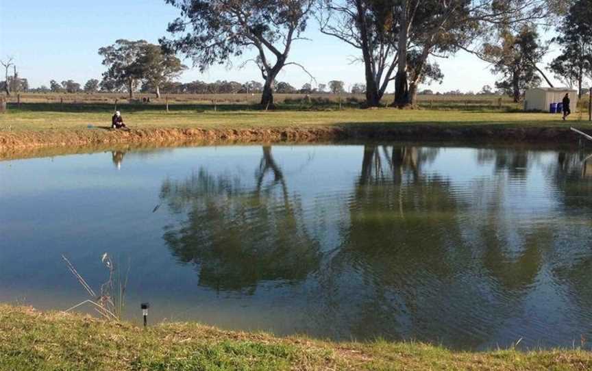 Coonawarra Bush Holiday Park, Glenroy, SA