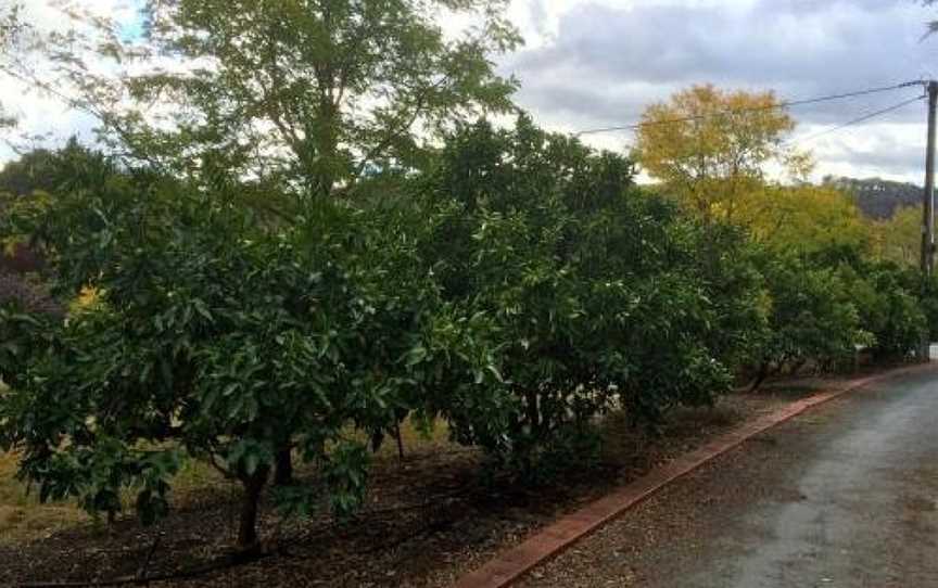 Vineyard Cottage BnB, Gumeracha, SA