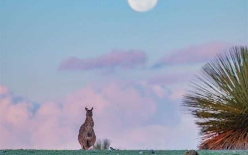 Ecopia Retreat, Seddon, SA