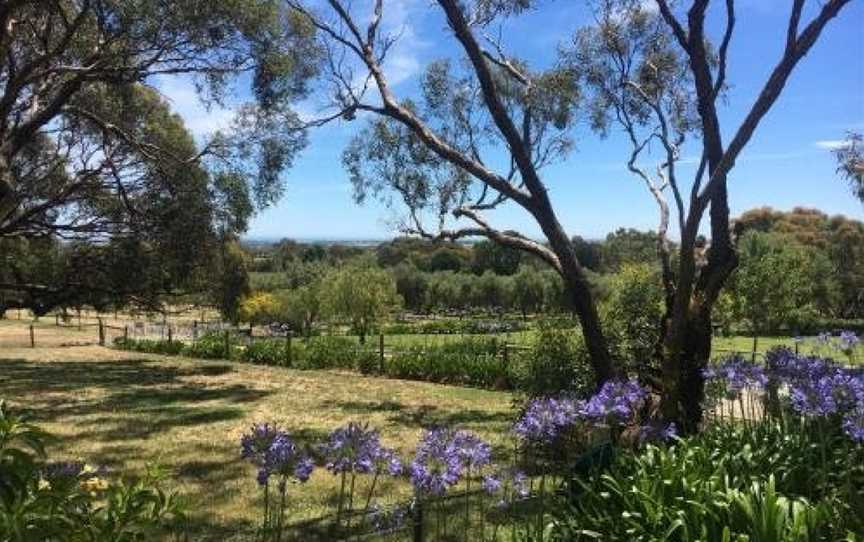 The Farm Willunga, Willunga South, SA