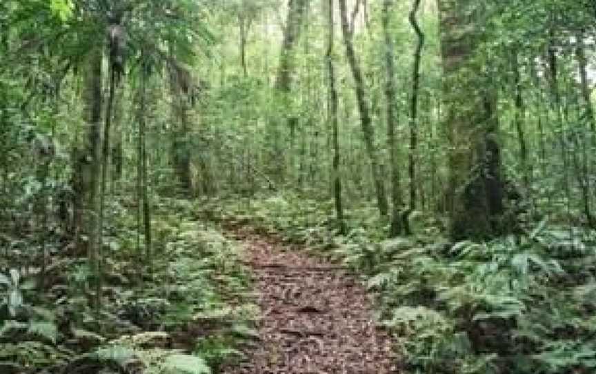 Goomburra Forest Retreat, Goomburra, QLD