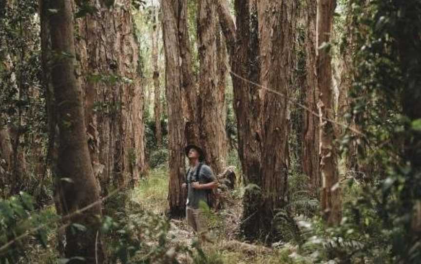 Habitat Noosa, Boreen Point, QLD