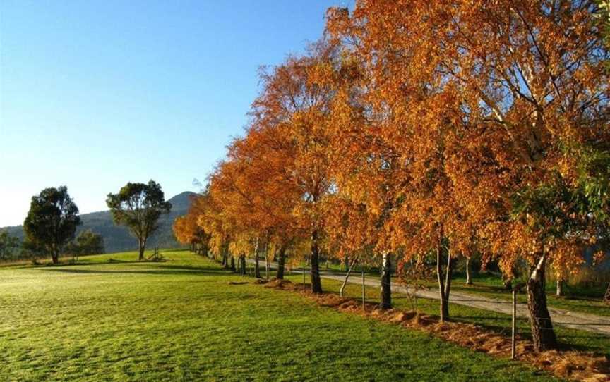 Plovers Ridge Country Retreat, Lilydale, TAS