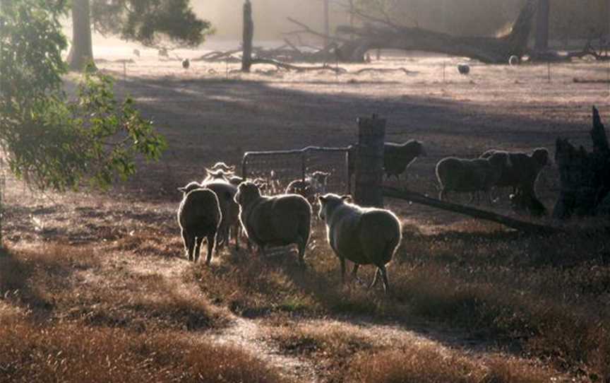 Cambray Cottages, Accommodation in Nannup