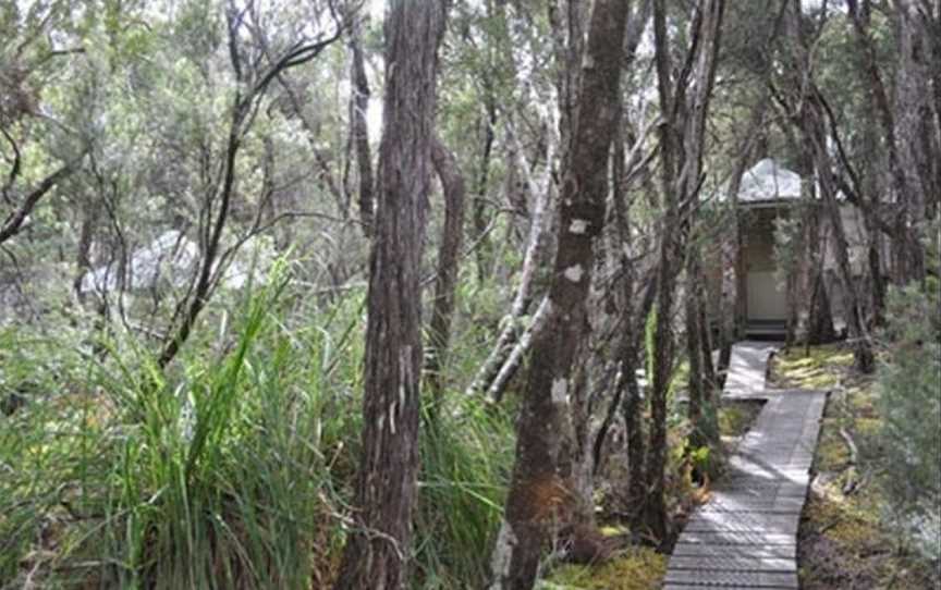 Southwest Wilderness Camp - Tasmania, Accommodation in Cambridge