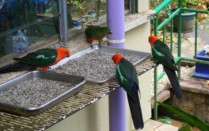 Lake Eacham Tourist Park & Cabins, Lake Eacham, QLD