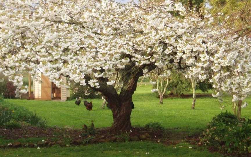 Glencoe Rural Retreat, Barrington, TAS