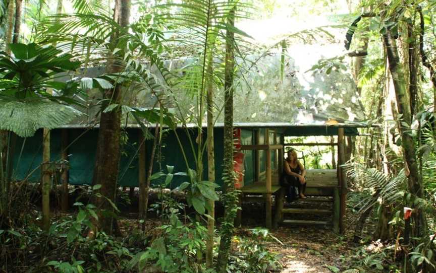 Daintree Crocodylus, Cow Bay, QLD