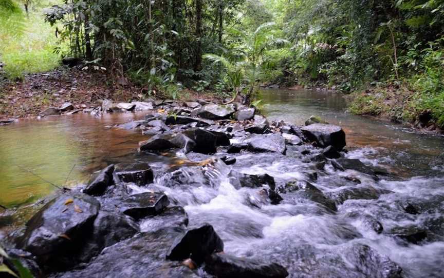 Mena Creek Flower House, Utchee Creek, QLD