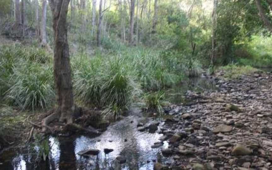 Noosa Hinterland Spectacular Boutique Guesthouse, Cooran, QLD