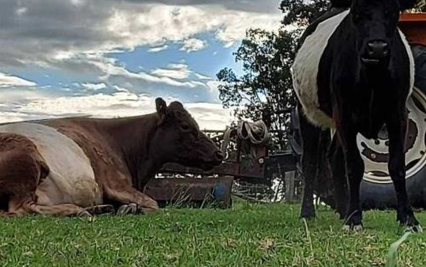 Straw House Farm B&B, Dalveen, QLD