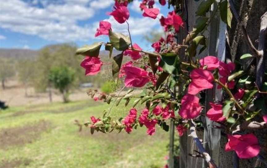 Farringdon Homestead, Accommodation in Tabooba