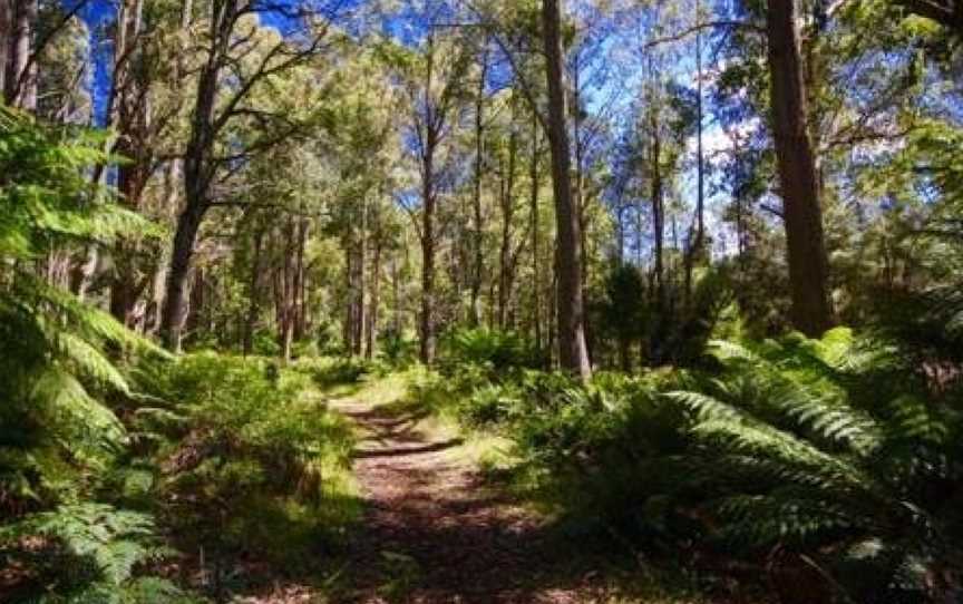 Tarraleah Estate, Tarraleah, TAS