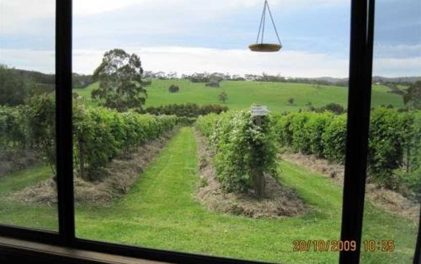 Pennyroyal Raspberry Farm & Cidery, Murroon, VIC