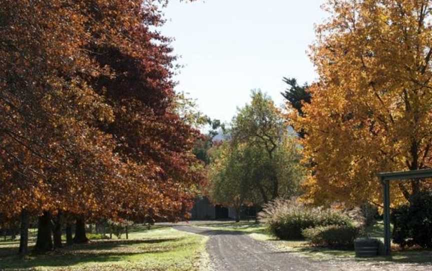 Glenlowren, Dixons Creek, VIC