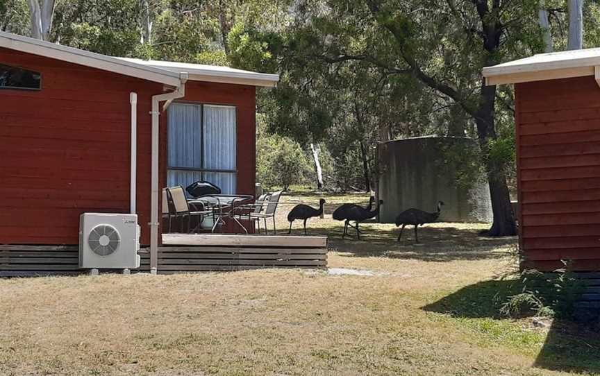 Wonderland Cottages, Halls Gap, VIC