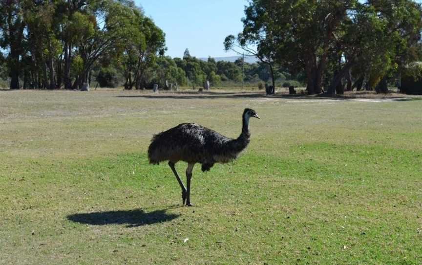 Mountain View Motor Inn & Holiday Lodges, Pomonal, VIC