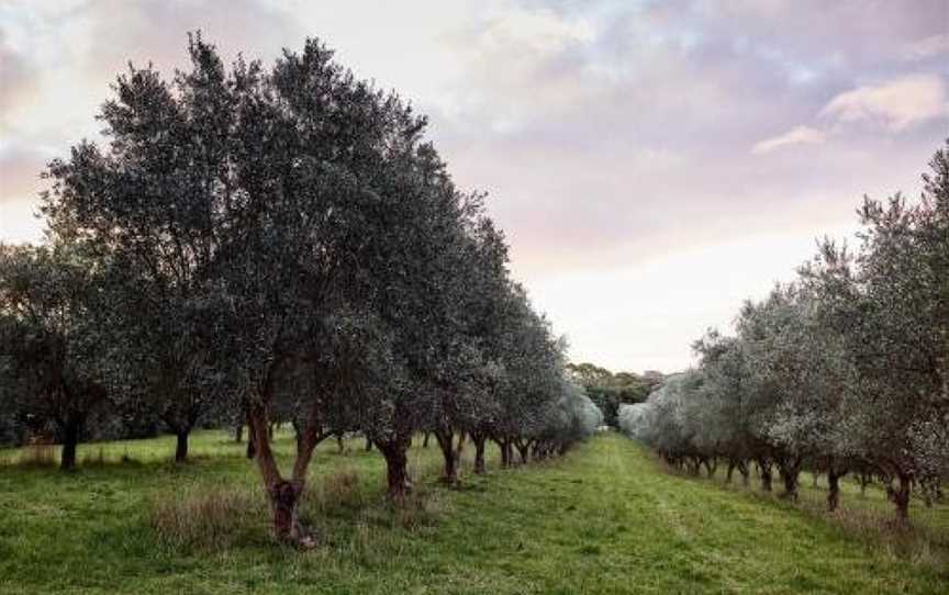 Hart's Farm, Shoreham, VIC