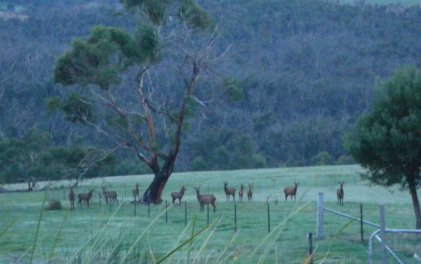 Hawksview at Mafeking, Mafeking, VIC