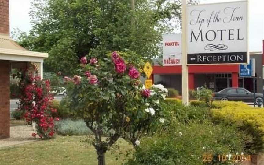 Top of the Town Motel, Benalla, VIC