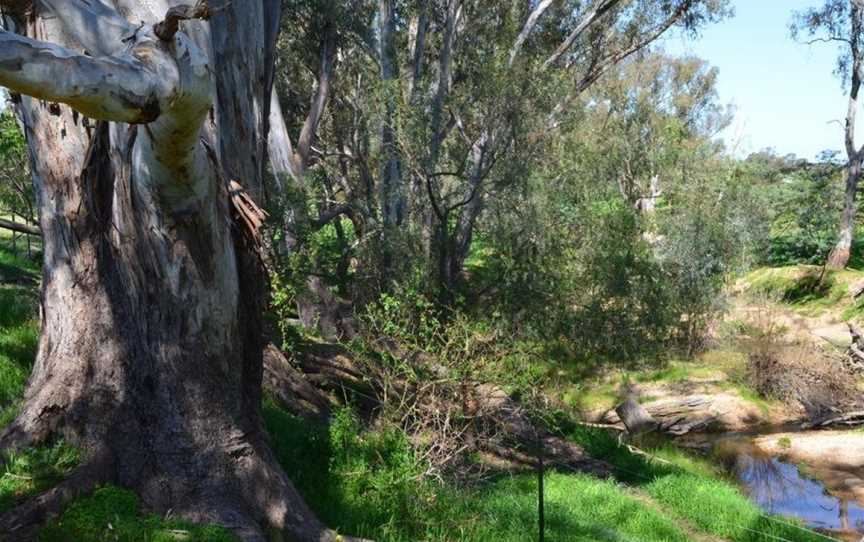 Jamel Lodge, Chiltern Valley, VIC