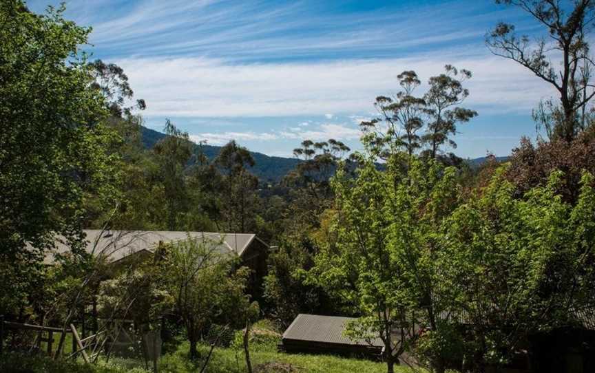 Buttercup Hill, Warburton, VIC