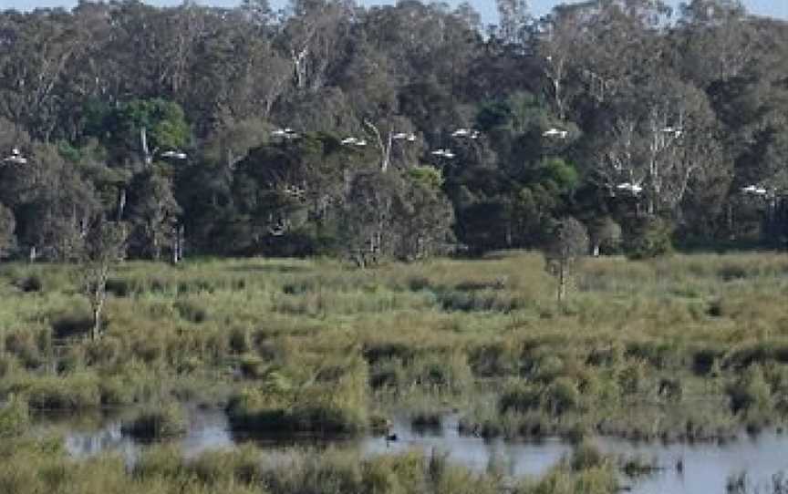 Frog Gully Cottages, Longford, VIC