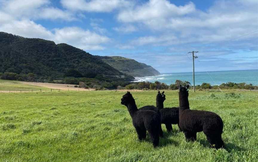 Seacroft Estate, Sugarloaf, VIC