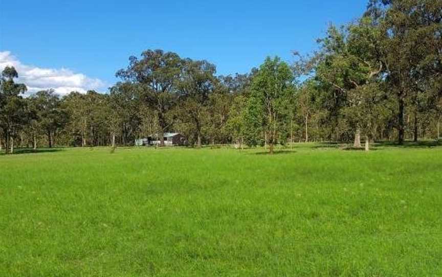 Kangaroo Cottage - cute Accom in bushland setting, Ellalong, NSW