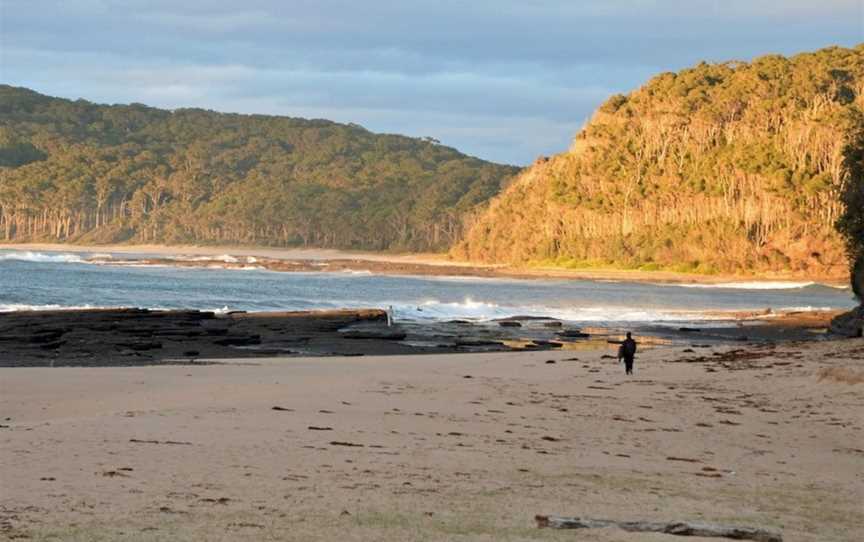 Pebbly Beach Shacks, East Lynne, NSW