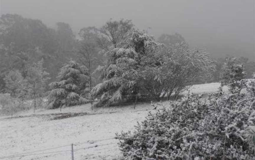 Springmead Rustic Cabin, Rydal, NSW